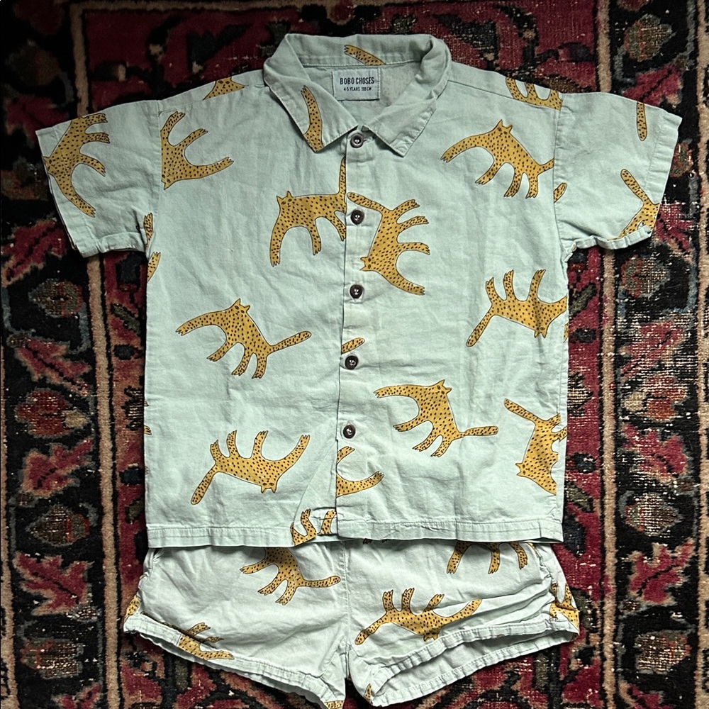 Cheetah Set 4/5Y